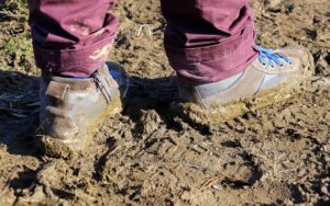 Regen & Herbst im Waldkindergarten: Tipps für Eltern