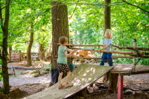Das Konzept eines Waldkindergartens