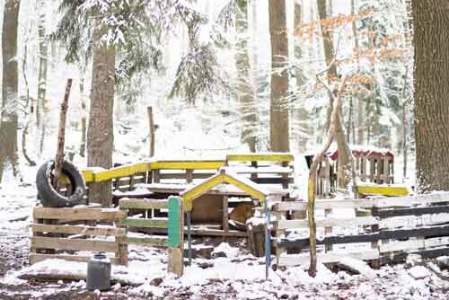 Waldkindergarten